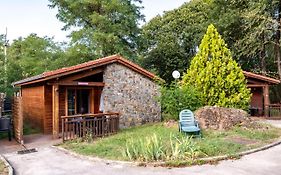 Le Hameau Du Comte De Foix - 11 Chalets En Ariege